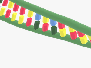 Structure of DNA 3D Model