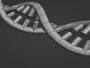Structure of DNA 3Dモデル