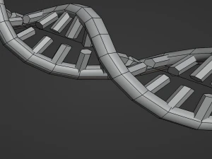 Structure of DNA 3D Model