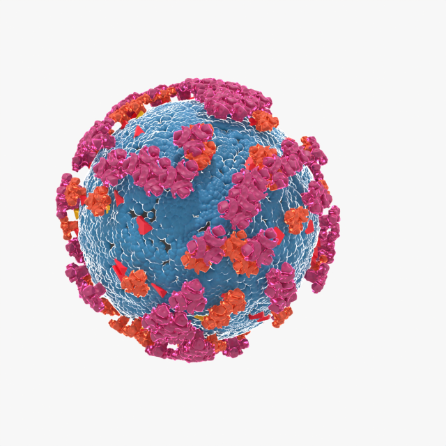 Corona virus 3D 모델 .c4d .max .obj .3ds .fbx .stl .blend 