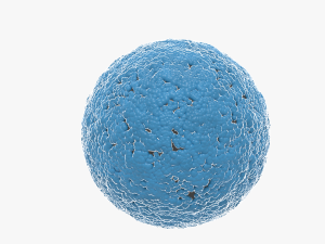 Corona virus 3D 모델