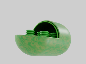 Chloroplast Model 3D