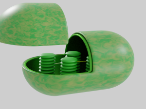 Chloroplast Model 3D