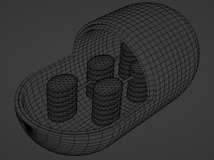 Chloroplast Model 3D