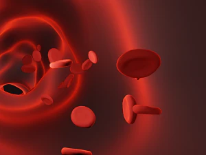 Кровоносна судина 3D Модель