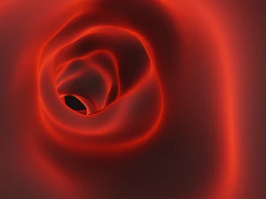 Blood vessel 3D Model