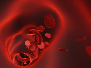 Blood vessel 3D Model