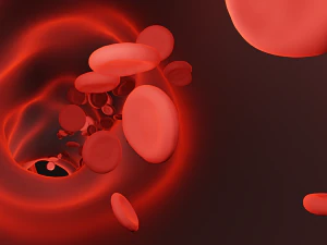 Blood vessel 3D Model