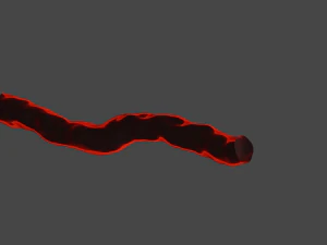 Blood vessel 3D Model