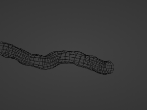 Blood vessel Model 3D
