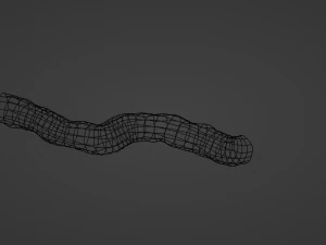 Blood vessel 3D Model