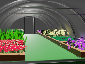 Greenhouse effect 3D मॉडल