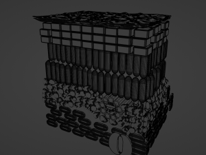 Cross section of leaf Model 3D