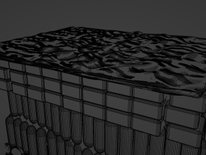 Cross section of leaf Model 3D