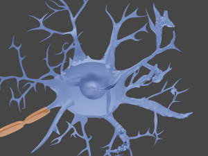 Neuron 3D Model