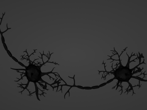 Neuron 3D Model