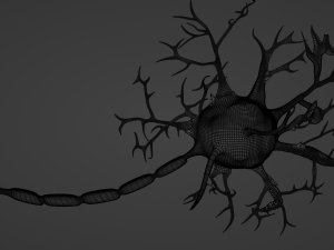 Neuron 3D Model