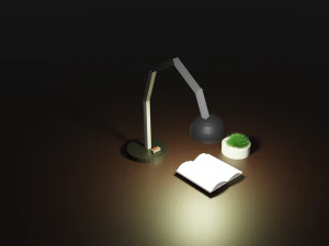 Kitap ve kakt&uuml;sl&uuml; lamba 3D Model