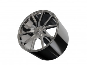 ASANTI VEGA WHEEL 3D MODEL 3D-Druckmodell