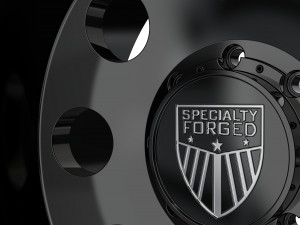 REAR SPECIALITY FORGED D700 WHEEL 3D MODEL 3D-printmodel