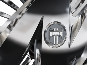 DUB RAGGED WHEEL 3D MODEL Modello di stampa 3D