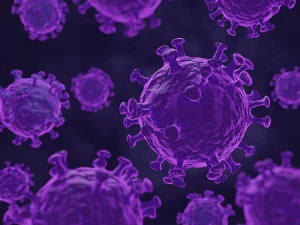 Virus 3D Model