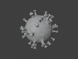 Virus 3D Model