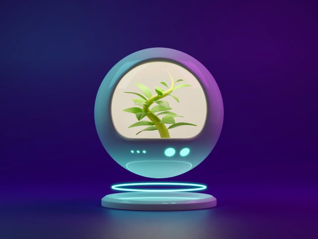 Sci-fi plant in capsule 3D Model .c4d .max .obj .3ds .fbx .stl .blend 