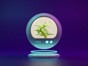 Sci-fi plant in capsule 3D Model