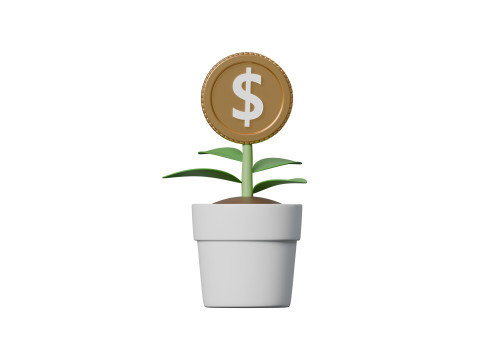 Money tree Modèle 3D