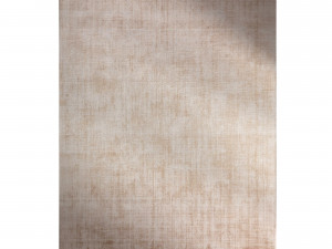 Ombre rugs 3D 模型