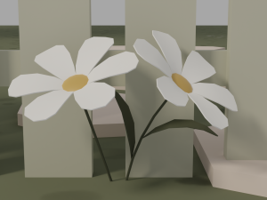 Cottage 3D Model