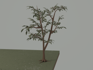 Cottage 3D Model