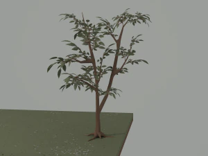 Cottage 3D Model