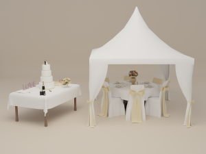 Outdoor Wedding 3D 模型