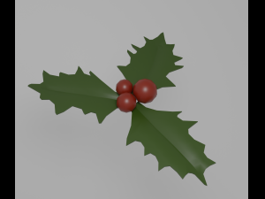 Holly 3D Model