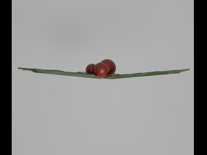 Holly 3Dモデル