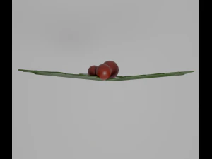 Holly 3D Model