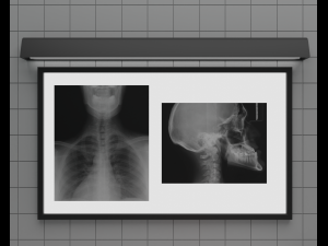 Morgue Model 3D