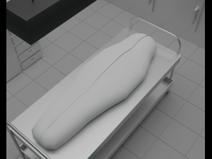 Morgue Model 3D