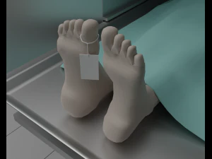 Morgue 3D Model