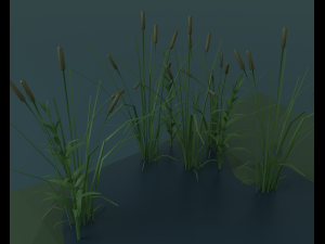 Witch house 3D Модель