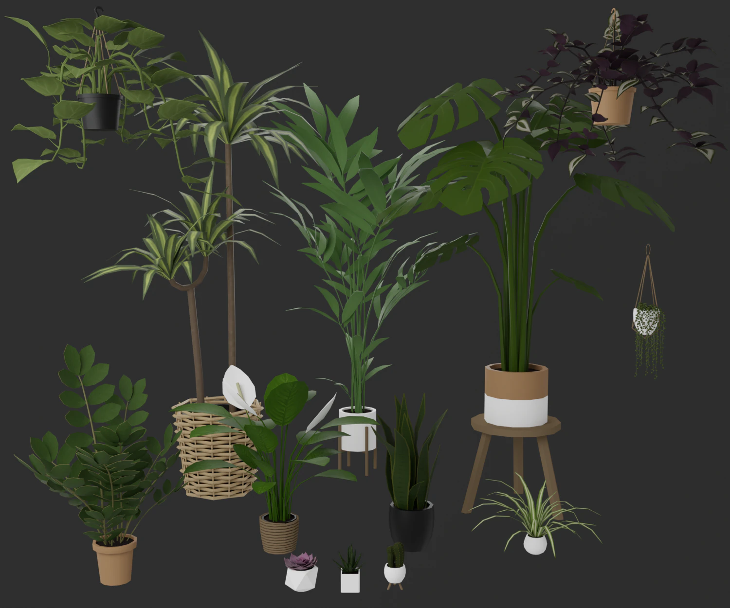 Indoor plants 3D Model .c4d .max .obj .3ds .fbx .stl .blend 
