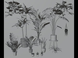 Indoor plants 3D 模型