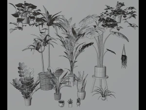 Indoor plants 3D Model