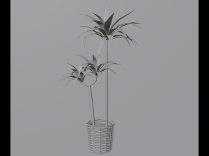 Indoor plants 3D 模型