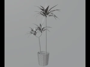 Indoor plants 3D Model
