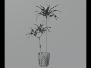 Indoor plants 3D 模型
