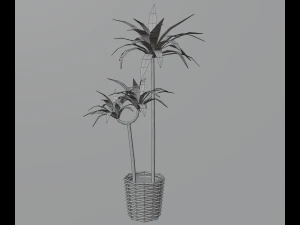 Indoor plants 3D Model