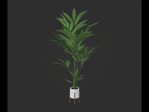 Indoor plants 3D 模型